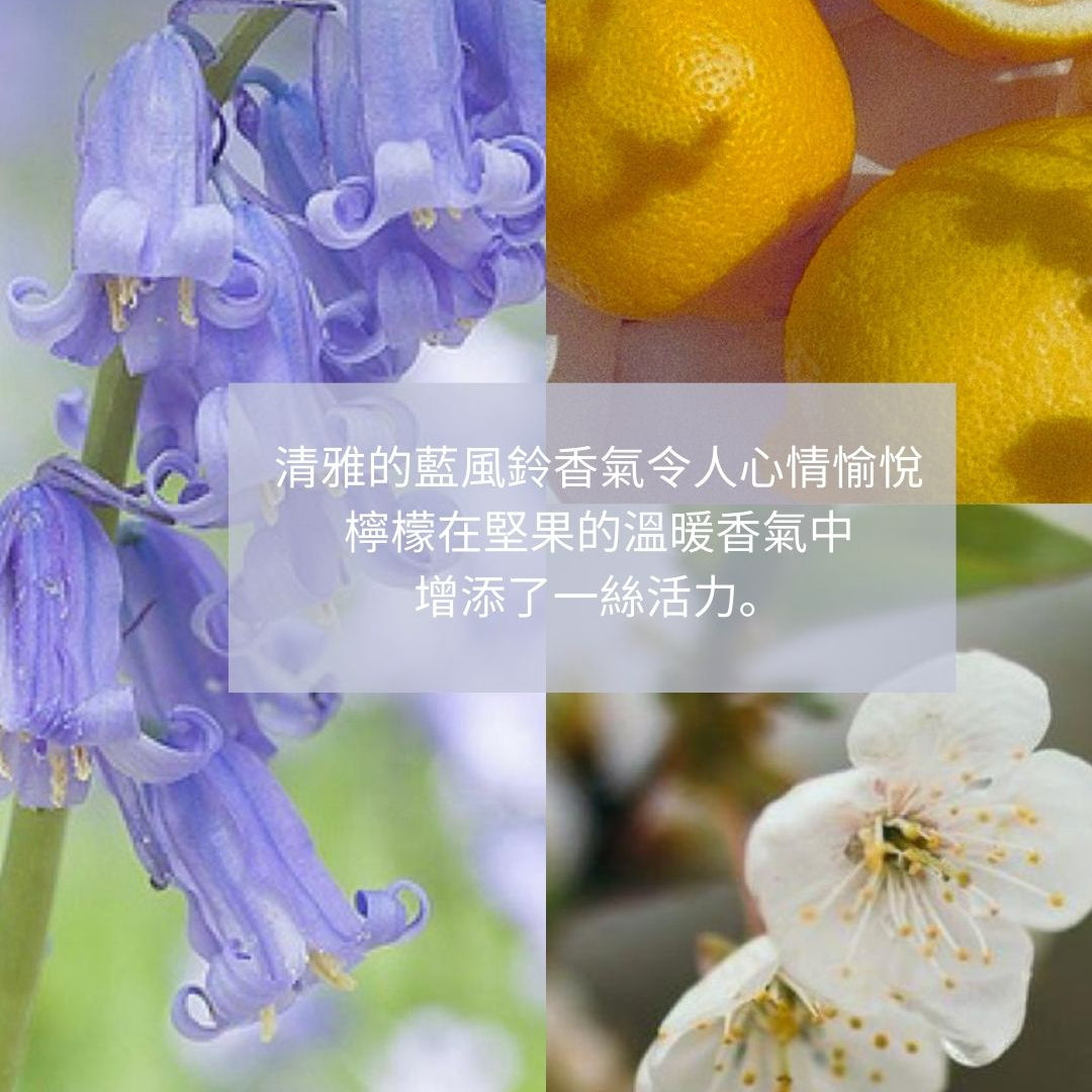 G16 100ml EDP (藍風鈴 麝香)