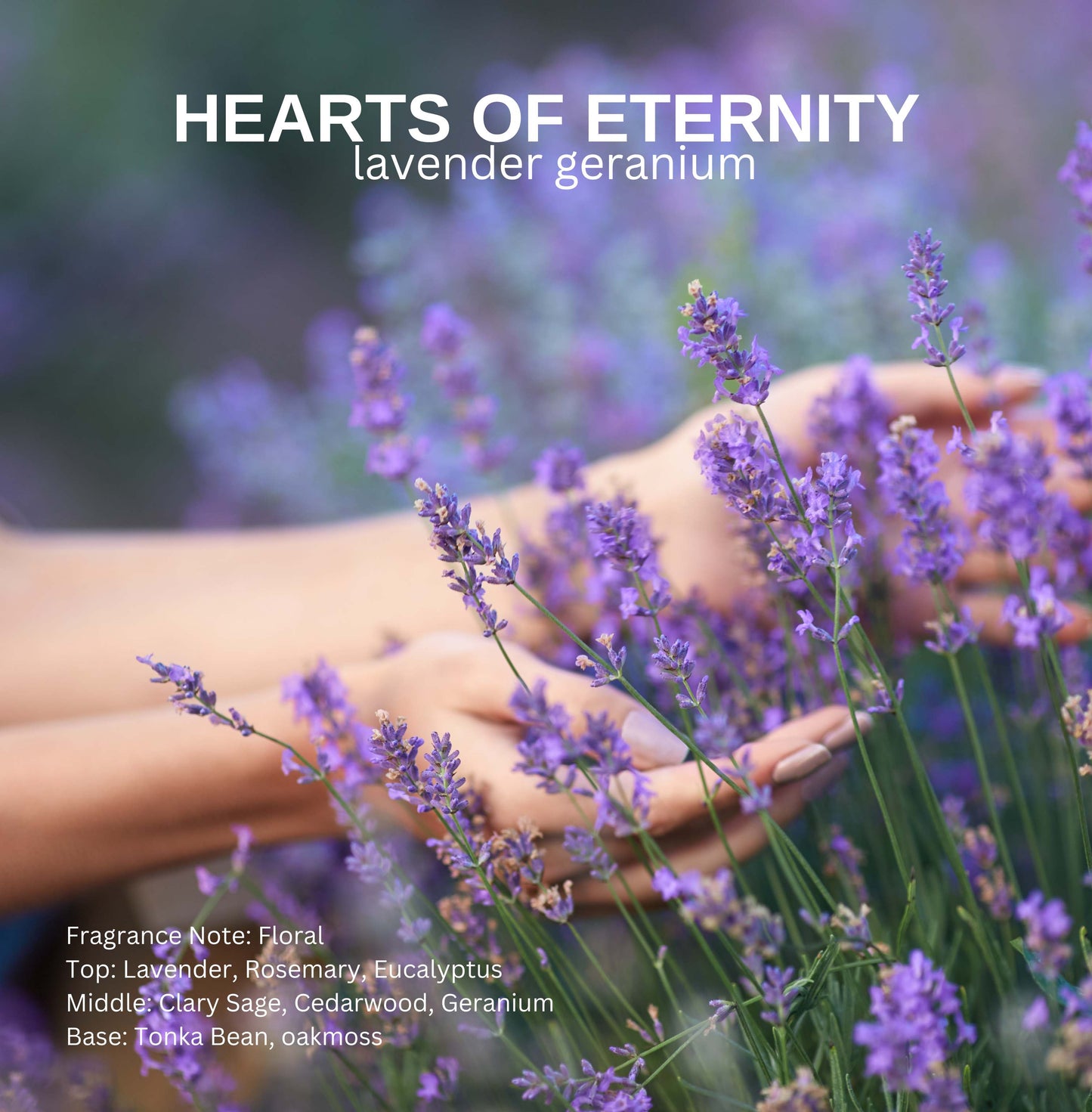 Hearts of Eternity- Geranium Lavender Candle
