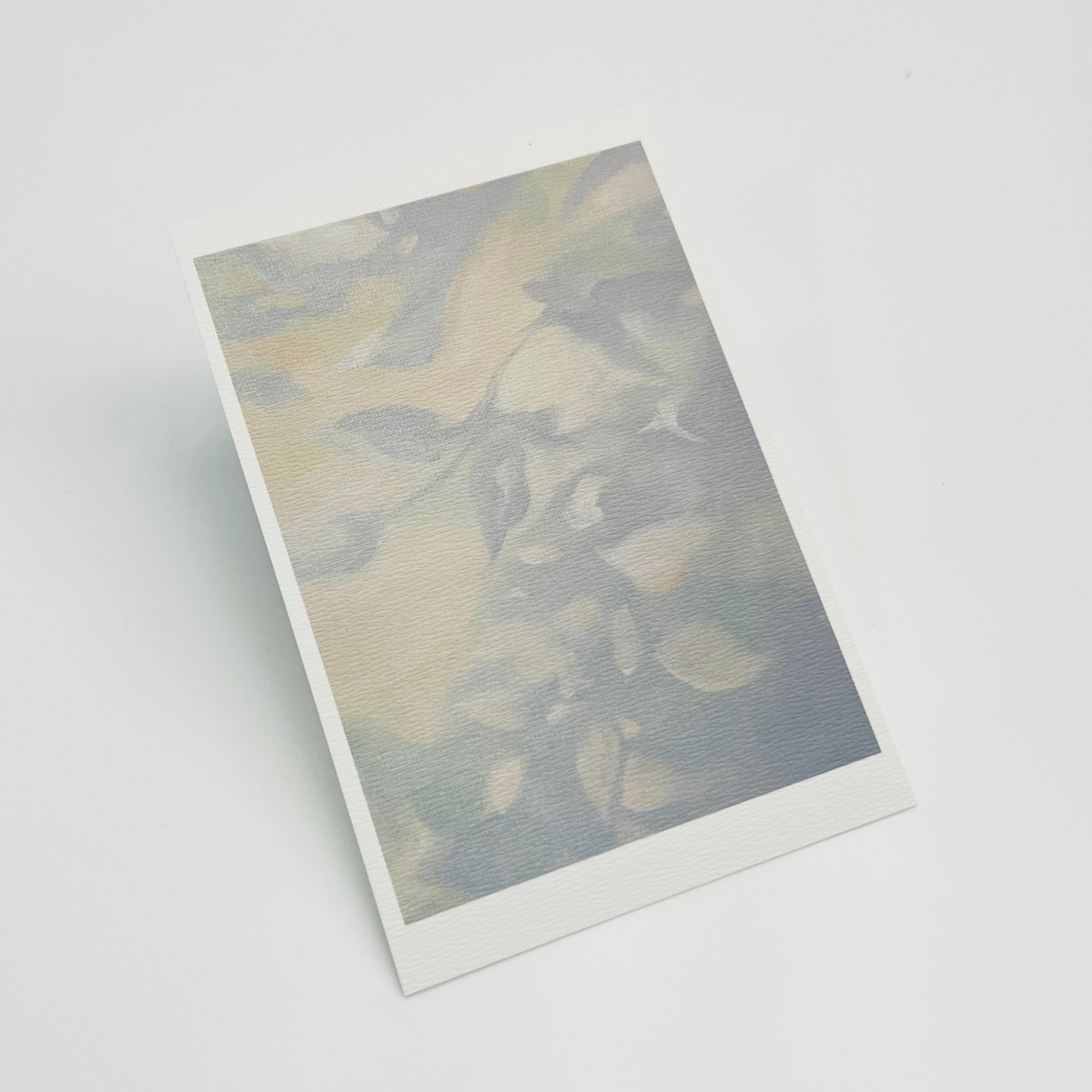 Scent & Stroke Program - Post Card package 05