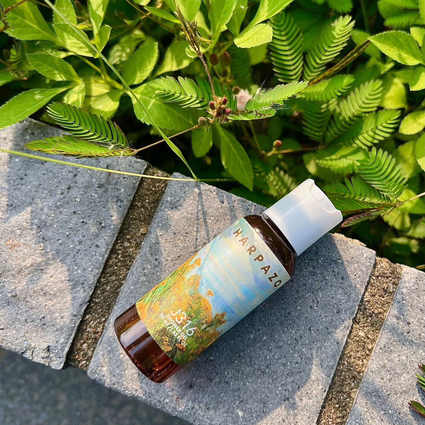 Bottle of Natura on a stone surface with green foliage in the background
