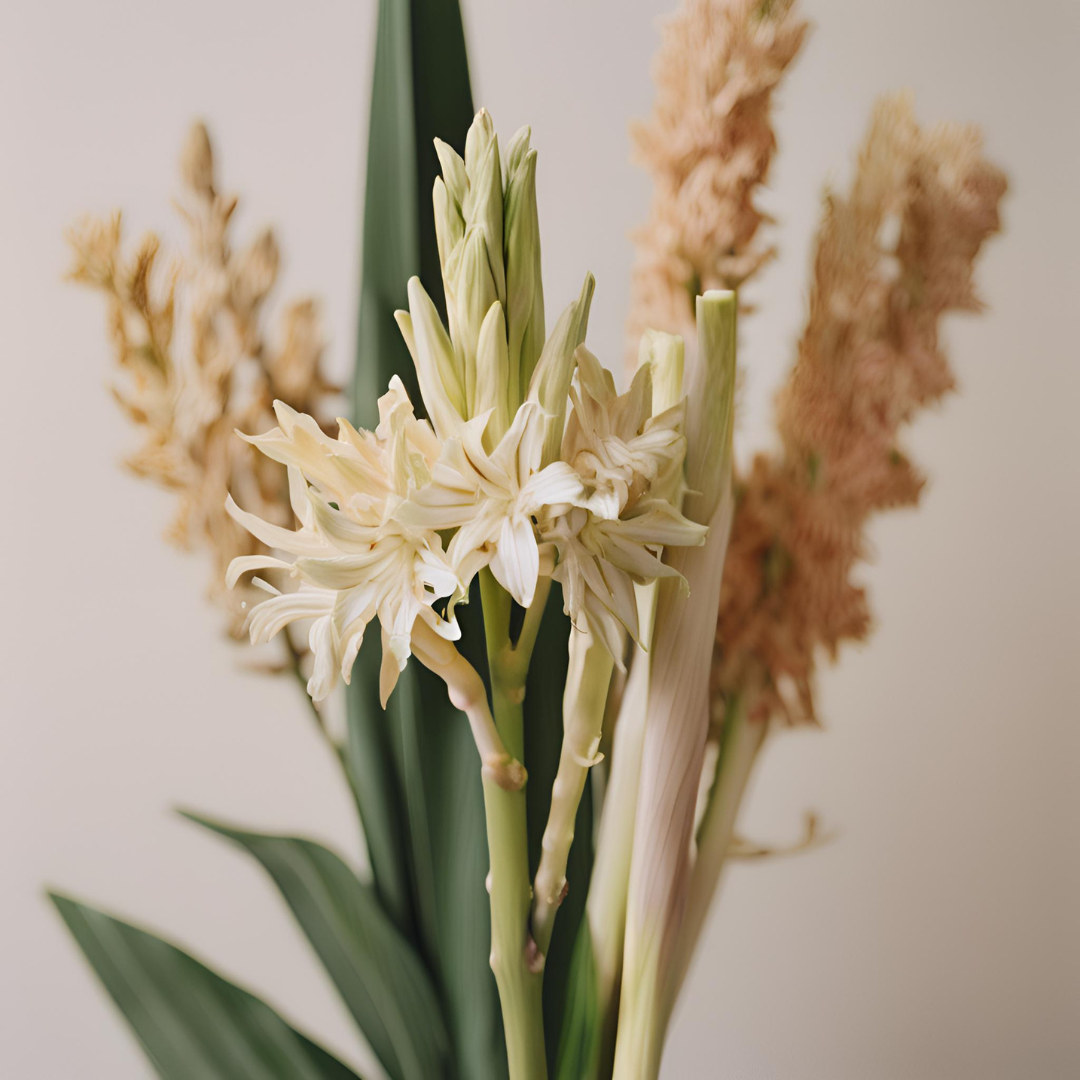 Flowers in white background