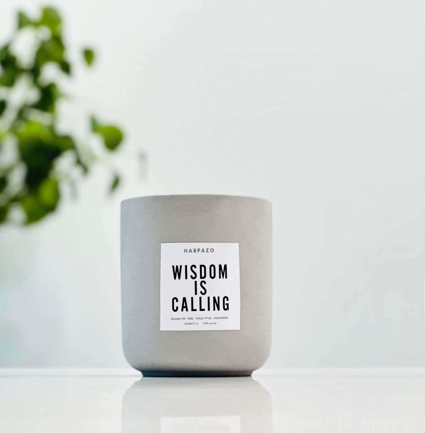 Wisdom Is Calling - Balsam Fir Rose