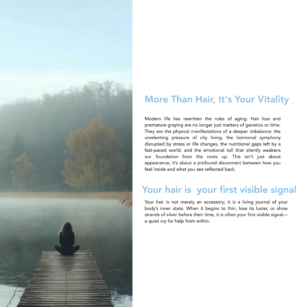 Shekinah Radiance Collection - Travel Size Conditioner 50ml