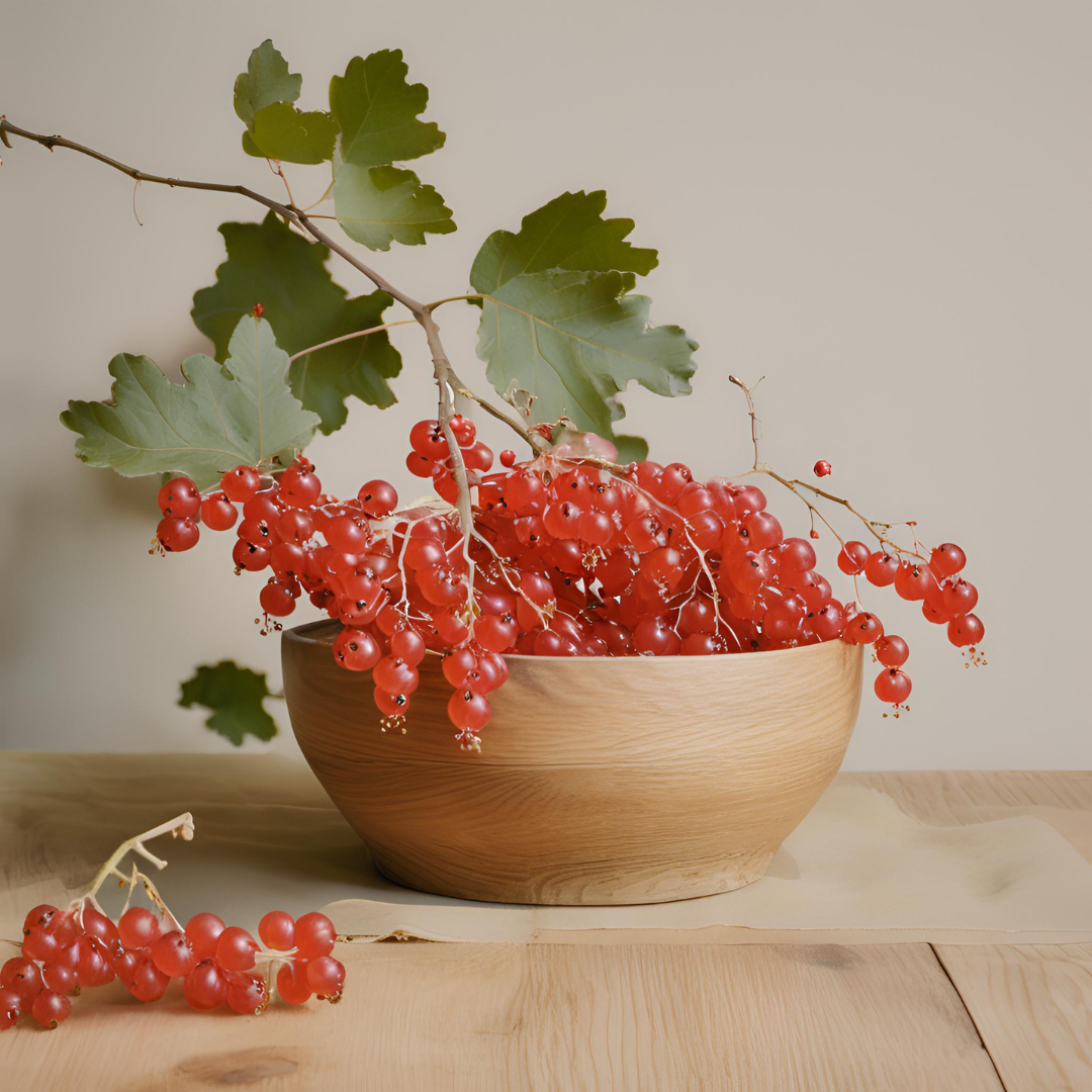 English Oak & Red Currant reed diffuser