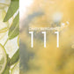 111  - Daisy Bergamot 100ml EDP