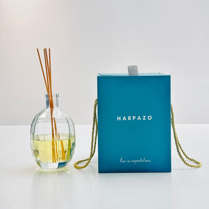 Glass Vessel-Home Fragrance Diffuser 500ml