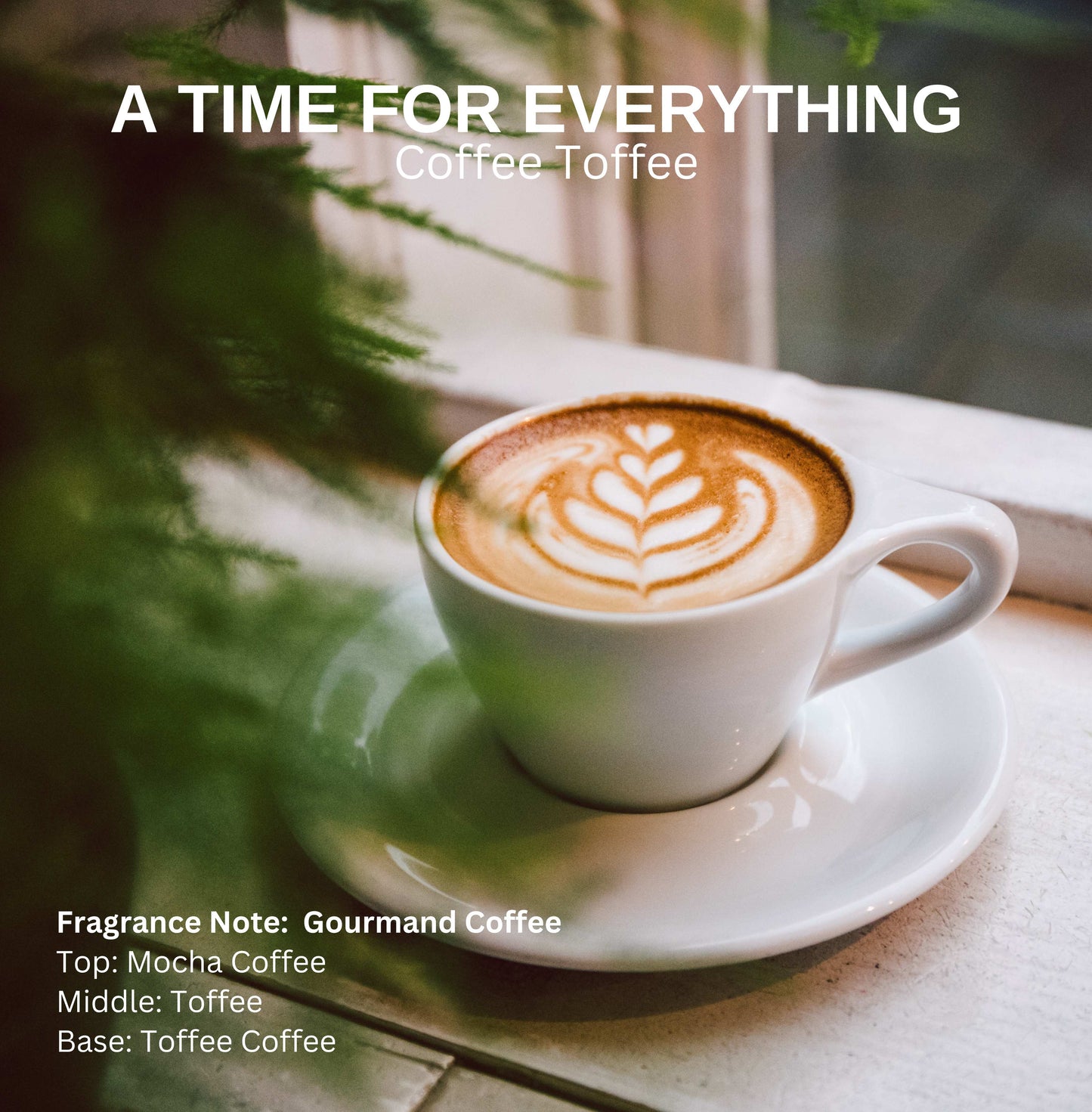 A TIME FOR EVERYTHING  -COFFEE TOFFEE
