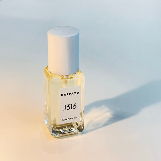 J316 Travel Perfume 10ml EDP