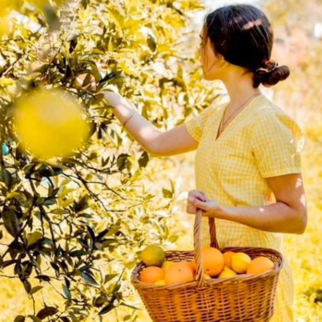 J316 100 毫升 EDT (葡萄柚 玫瑰木)