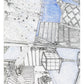 Scent & Stroke Program - Post Card package 02