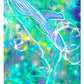 Scent & Stroke Program - Post Card package 09