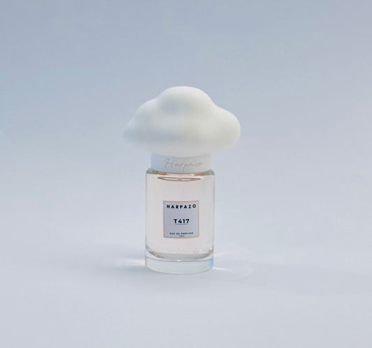 T417 on white background